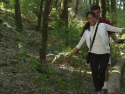  MS Couple balancing on log in woods / Santa Cruz, California, United States Stock Footage