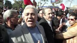 ElBaradei and opposition leaders march, demonstrators gather in Alexandria News Clip