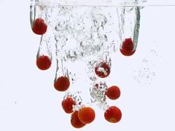 CU SLO MO Shot of Cherry Tomatoes, solanum lycopersicum, Fruits falling into Water against White Background / Calvados, Normandy, France Stock Footage