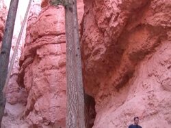HD: Trekking in Bryce Canyon Stock Footage
