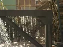 Deforestation Stock Footage