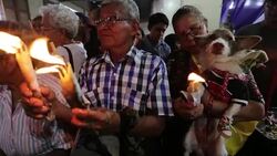 CLEAN : Pets blessed in Nicaragua News Clip