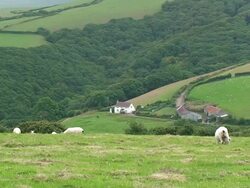 Countryside Stock Footage