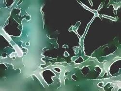 Abstract lines/bones/neurons Stock Footage