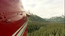 A helicopter flies over dense evergreen forests and mountains in Alaska. Stock Footage