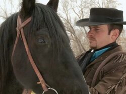 CU Cowboy and horse getting bridle ready / Shell, Wyoming, United States Stock Footage