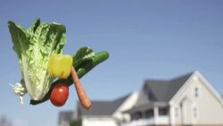 Slow Motion of Tossing Vegetable into Sky with Homes in The Background Stock Footage