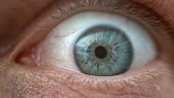 ECU Human blue eye wide open Stock Footage
