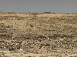 WS Shot of monkeys running among plastic bags in desert / Djibouti Stock Footage