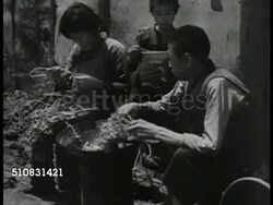 Chinese people Instructional Video