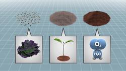 NASA growing vegetables in space: astronauts about to harvest lettuce on ISS Instructional Video
