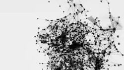 Internet Security Concept Stock Footage