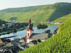 MS Valley town on the banks of the Moselle river / Bernkastel-Kues, Rhineland-Palatinate, Germany Stock Footage