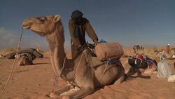 VOICED : Hope for Mauritanian desert economy as tourists return News Clip