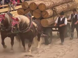 audience and horse drawn carriage with wood Stock Footage