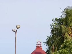 CU PAN ZO View   Dakshineshwar Temple  / Kolkata, West Bengal, India Stock Footage