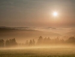 CRANE DOWN: Misty Landscape Stock Footage
