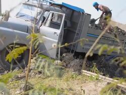 dolly : man dig soil out Stock Footage