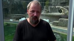 Polar bear cubs cool off with giant ice cubes Instructional Video