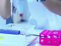Scientist and bio lab experiment Stock Footage