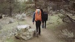 Attractive young adults backpacking Stock Footage