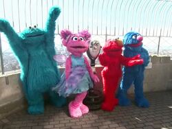 Cookie Monster, Abby Cadabby, Elmo and Grover at Elmo, Cookie Monster, Grover And Abby Cadabby Visit The Empire State Building To Promote '1-2-3 Imagine! With Elmo & Friends' on 02/21/2012 in New York City, NY.   Stock Footage