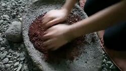 Costa Rica, nature and parks Stock Footage