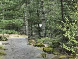 MS ZO View of landscape at Nordlingaholt /  Reykjavik , Iceland. Stock Footage