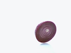 CU SLO MO Shot of Red Onion, allium cepa, Slice Roling against White Background / Calvados, Normandy, France Stock Footage