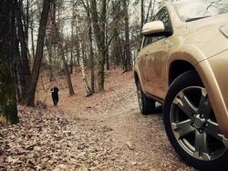 HD - Man With a Shovel in the Woods Stock Footage