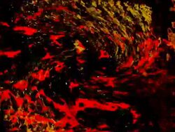 GALACTIC MARKERS : vortex, white back (TRANSITION) Stock Footage