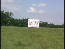 RR0225/C  Romania: Draculaland News Clip