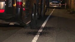 CLEAN : Police say blasts were targeted attack against Dortmund News Clip