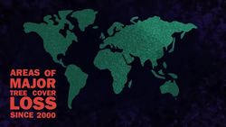 Can Farms and Forests Coexist? Instructional Video