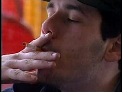 USA: WASHINGTON: CALL FOR NICOTINE TO BE REGULATED News Clip