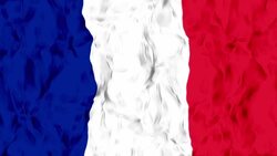 France Flag Stock Footage