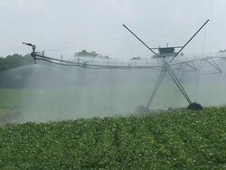 Irrigating Farm Crops Stock Footage