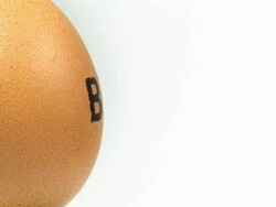 Organic Egg / Bio - Close up Stock Footage