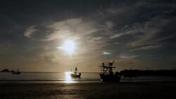 Sunrise Stock Footage