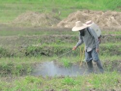 Farmer spraying pesticide Stock Footage