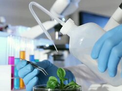 Botanical Lab Experiment Stock Footage