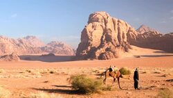Wadi Rum Bedouin handler with camel, Jordan, Middle East Stock Footage