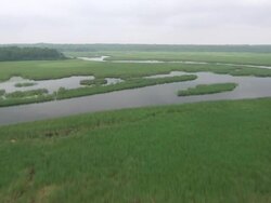 WS AERIAL View of Mississippi river / Lake Itasca, Minnesota, United States  Stock Footage