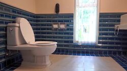 Toilet Stock Footage