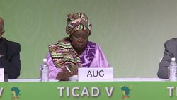 VOICED : Africa Japan underline private sector News Clip