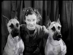 DOGS OF ALL NATIONS - News Clip