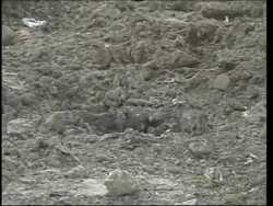 Two US Marines in IED attack Instructional Video