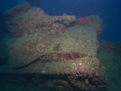 San Francisco, Tanks, Chuuk Lagoon, South Pacific Stock Footage