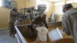 Peru, production of brown sugar Stock Footage