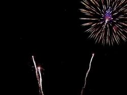 Firework Stock Footage